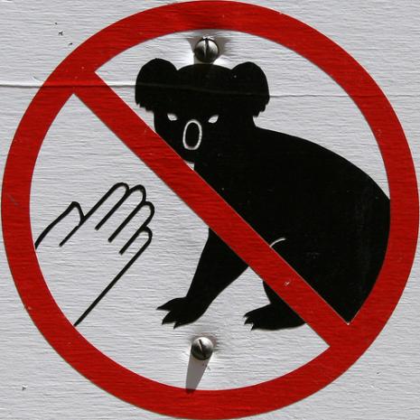 No touching please